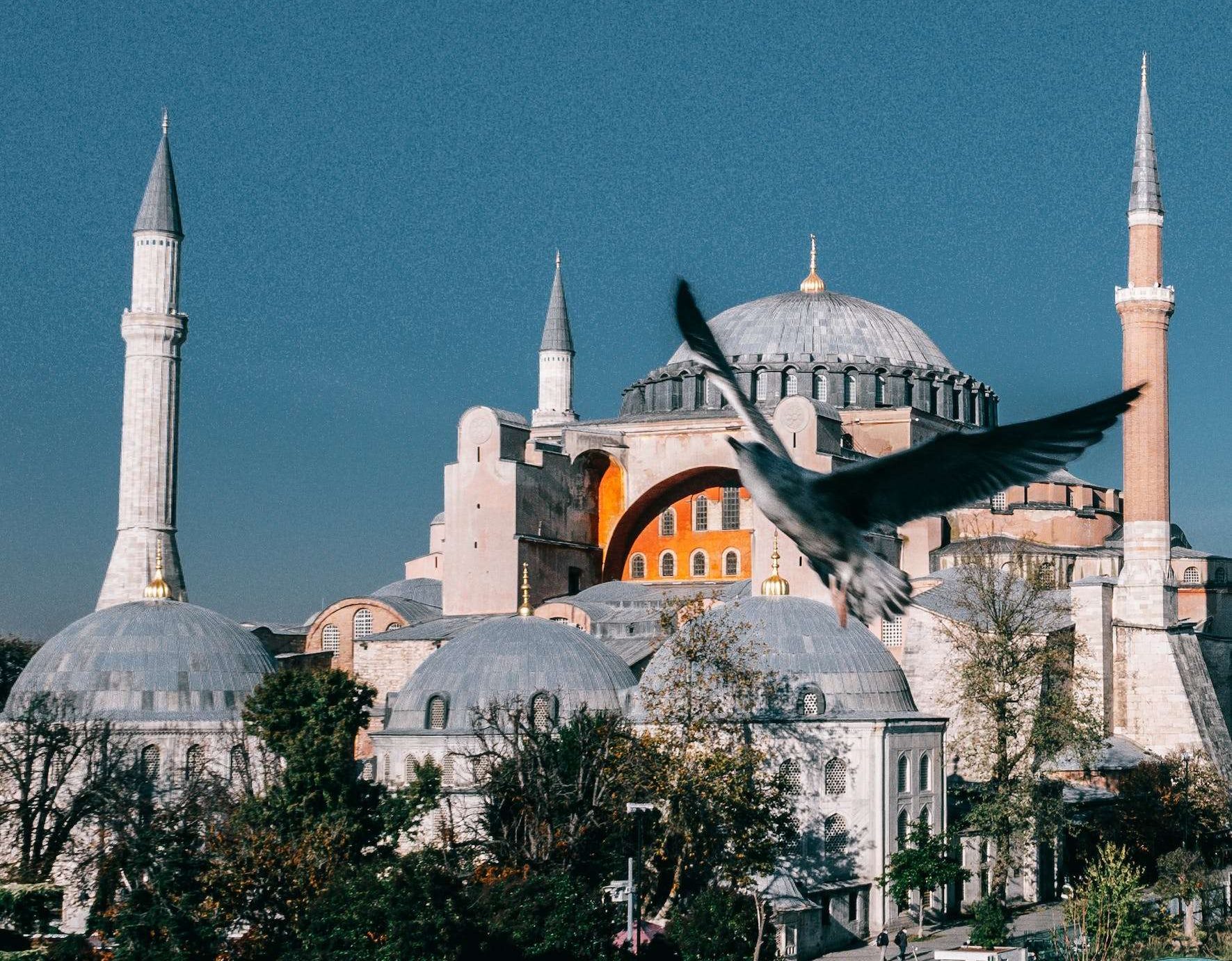 Picturesque aged Hagia Sophia cathedral with dome and minarets located in Istanbul against blue sky with flying bird in city